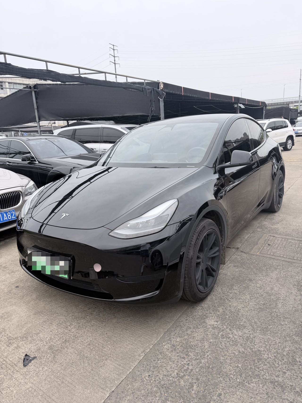 Tesla Model Y 2023 Tesla Model Y 2023 car image
