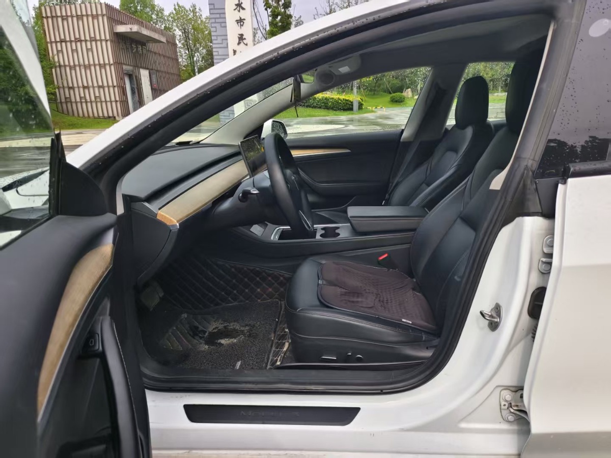 Tesla Model 3 2021 #6 Tesla Model 3 2021 car image #6