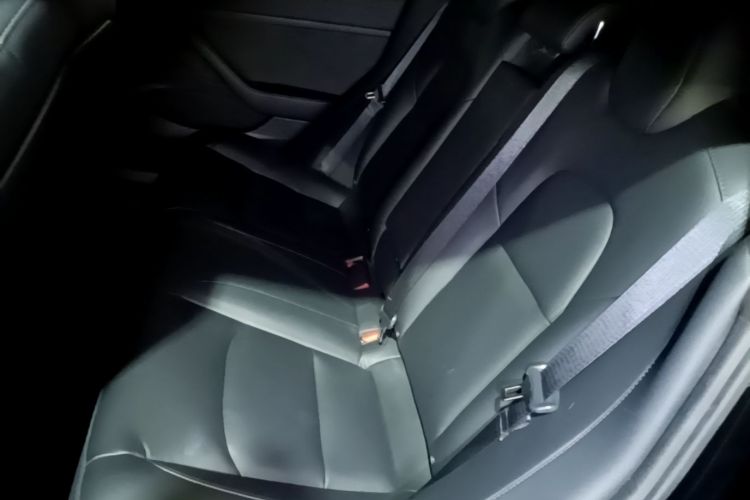 Tesla Model 3 2021 #13 Tesla Model 3 2021 car image #13