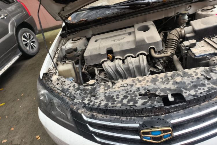 GEELY Emgrand 2016 car image #22
