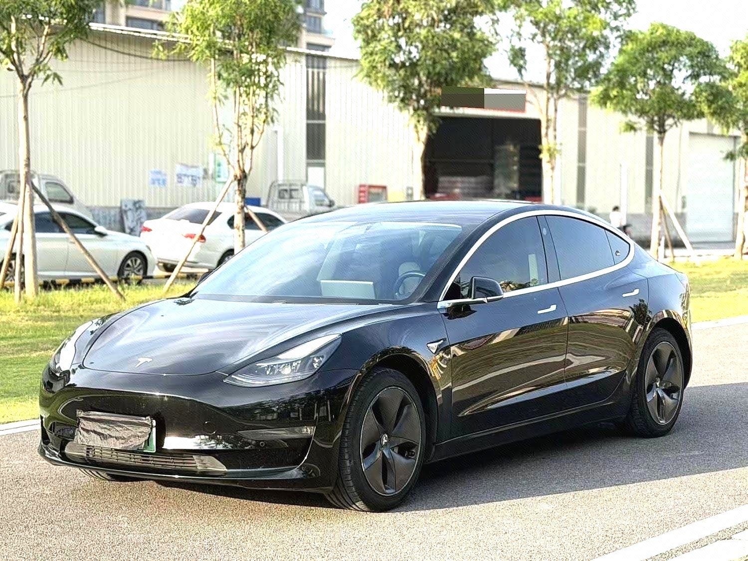 Tesla Model 3 2020 Tesla Model 3 2020 car image