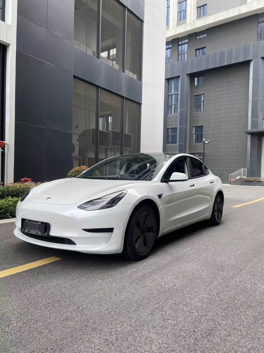 Tesla Model 3 2022 Tesla Model 3 2022 car image