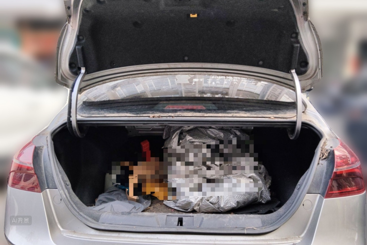 GEELY Emgrand 2020 car image #21