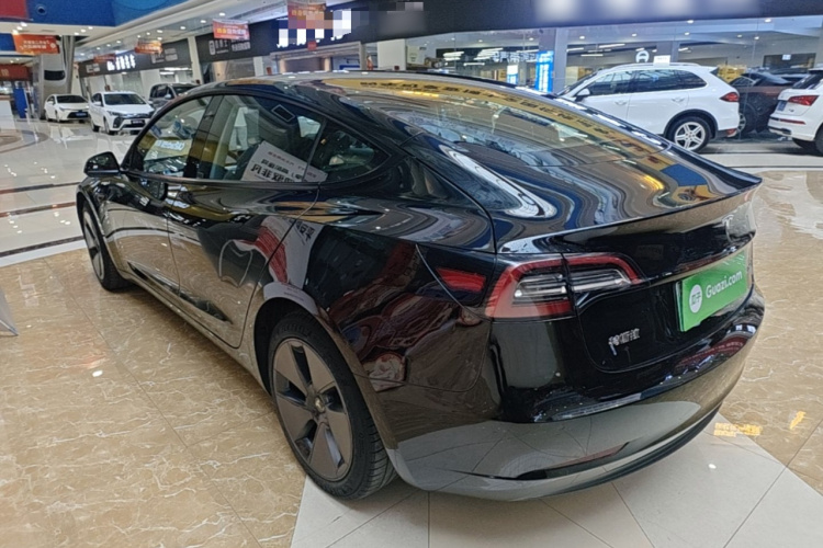 Tesla Model 3 2021 #5 Tesla Model 3 2021 car image #5