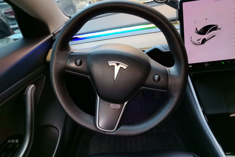 Tesla Model 3 2020 imagem de carro #12