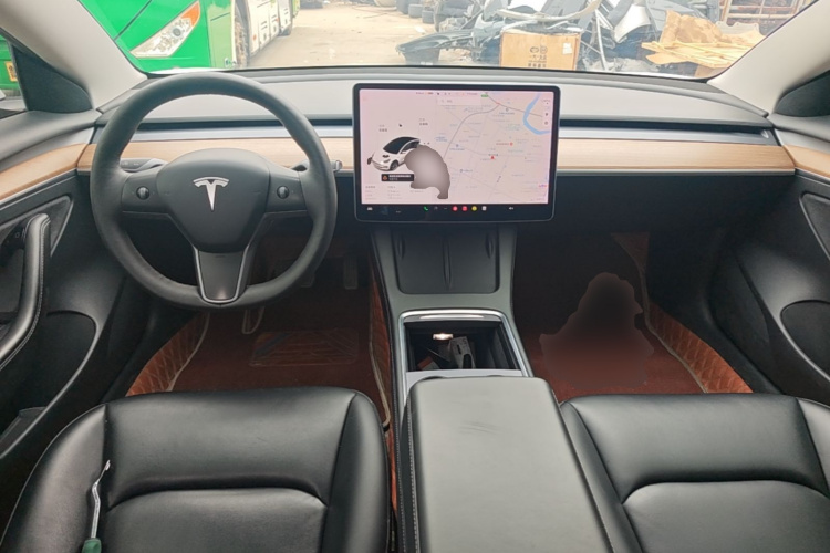 Tesla Model 3 2021 car image #10