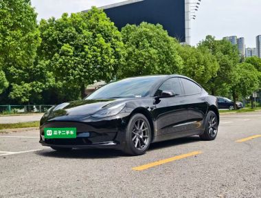 Tesla Model 3 2022 Tesla Model 3 2022 car image
