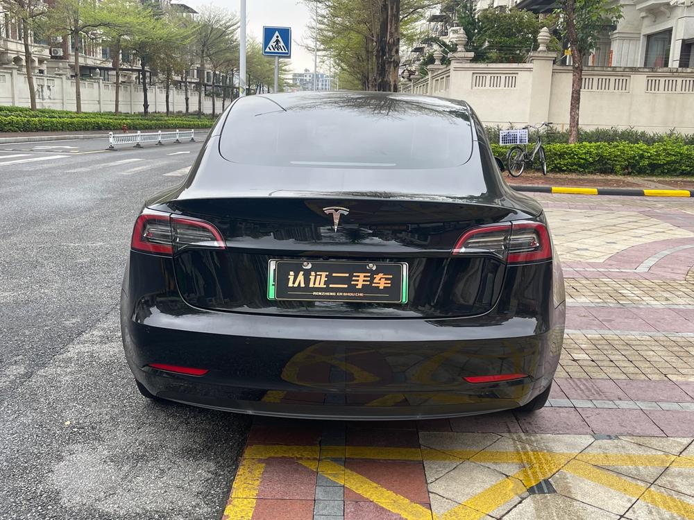 Tesla Model 3 2021 #5 Tesla Model 3 2021 car image #5