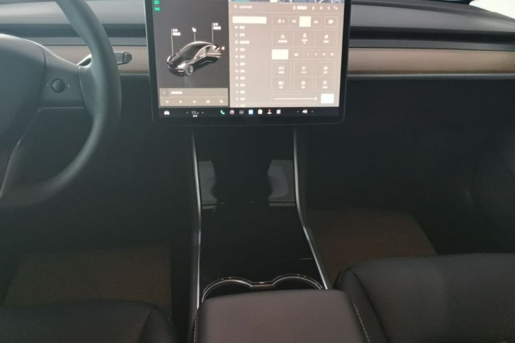 Tesla Model 3 2020 car image #13