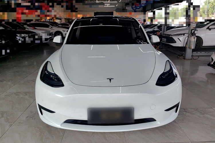 Tesla Model Y 2023 immagine di auto #3