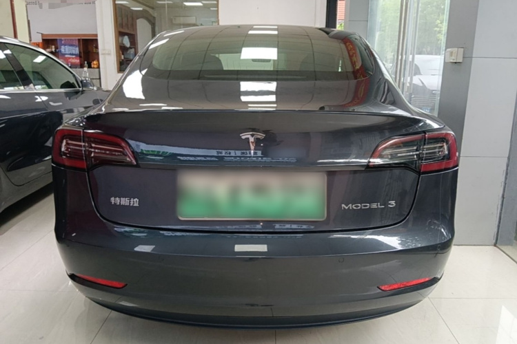 Tesla Model 3 2020 car image #6