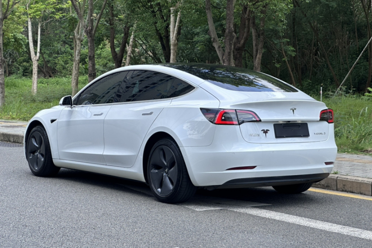 Tesla Model 3 2020 car image #11