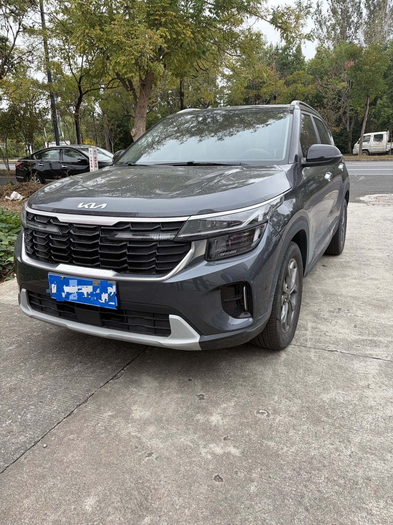 Kia Seltos 2024 car image 