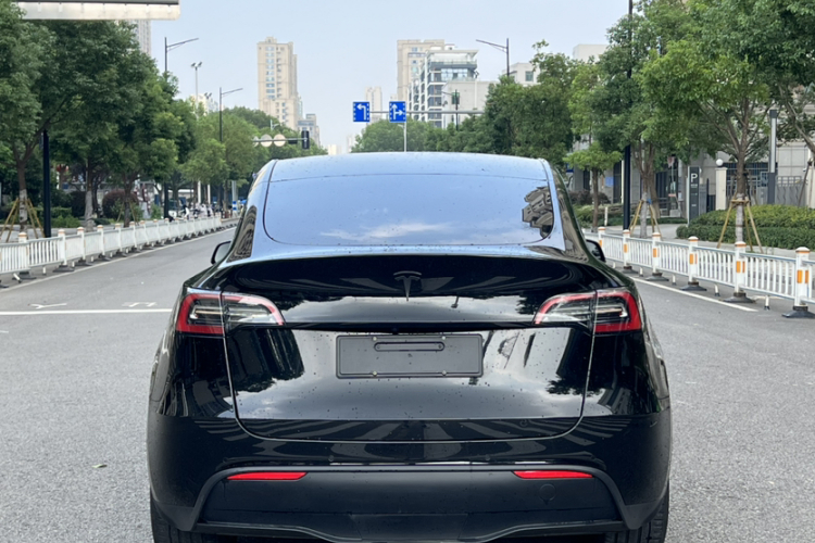 Tesla Model Y 2023 #7 Tesla Model Y 2023 car image #7
