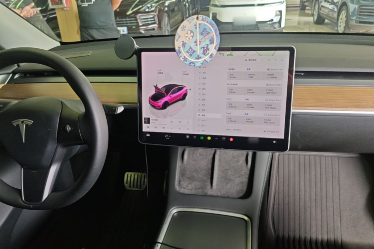 Tesla Model Y 2021 car image #11