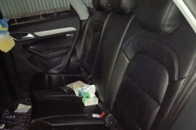 Audi Q3 2015 car image #19