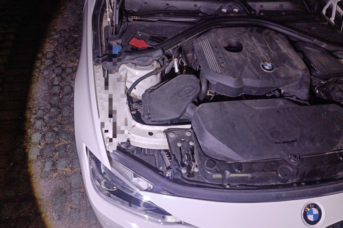 BMW 3 Series 2017 #11 BMW 3 Series 2017 car image #11