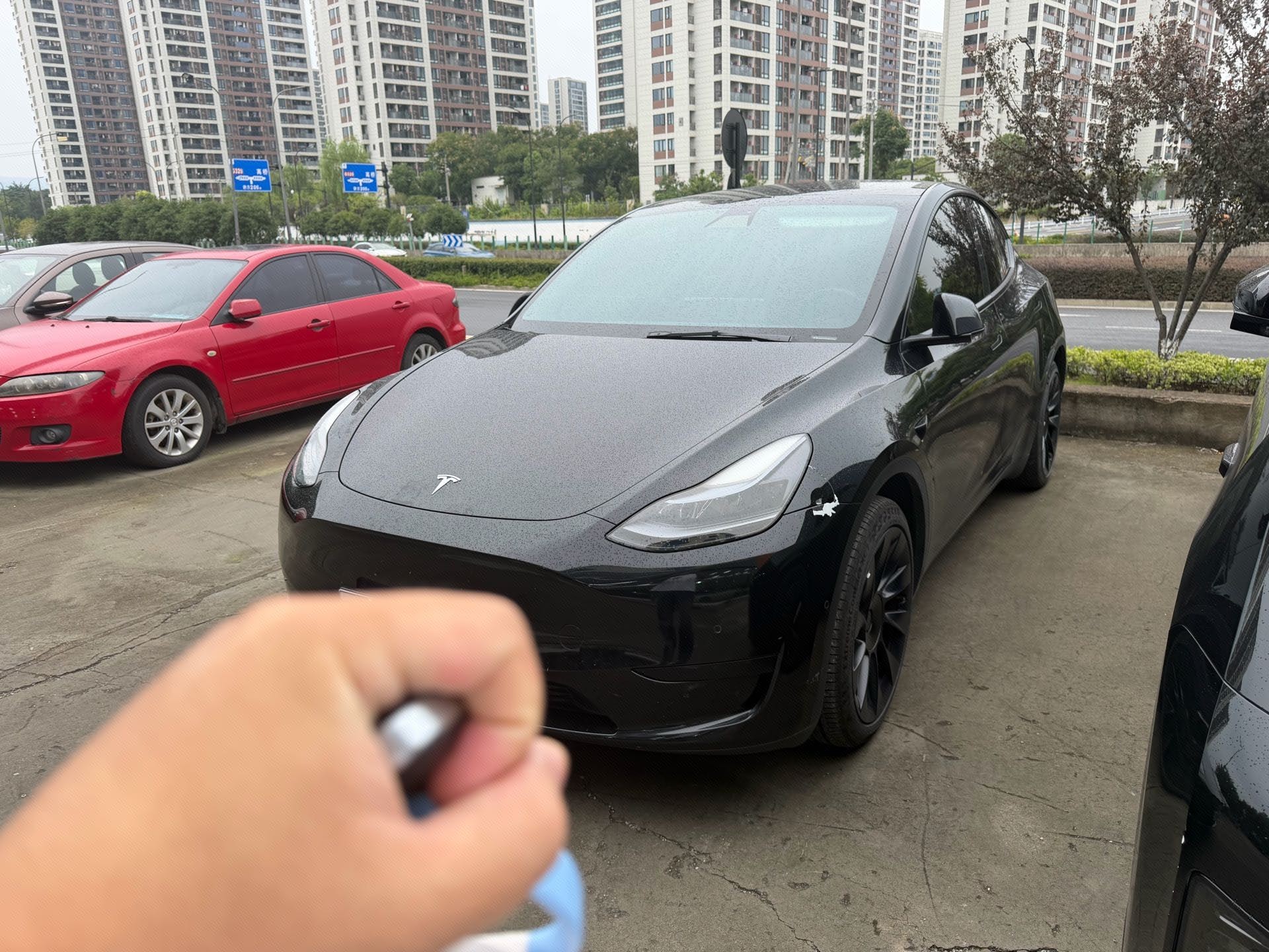Tesla Model Y 2022 Tesla Model Y 2022 car image