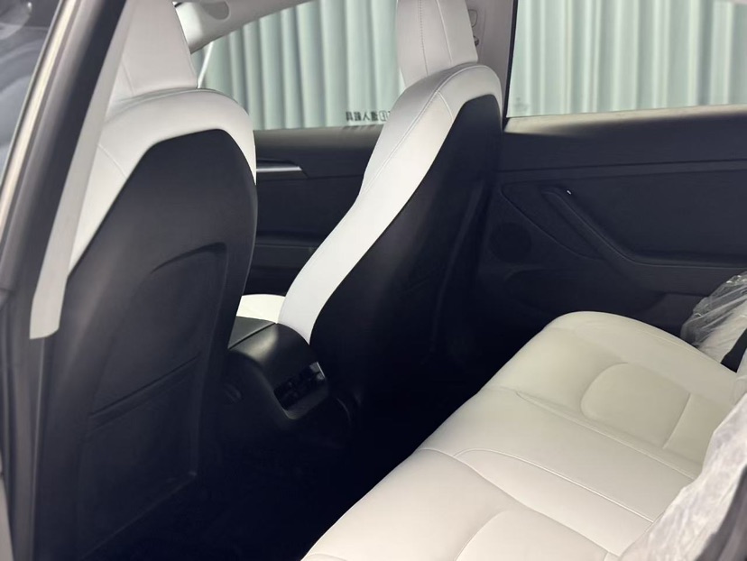 Tesla Model 3 2022 car image #6
