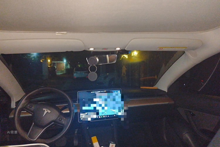 Tesla Model 3 2020 car image #20