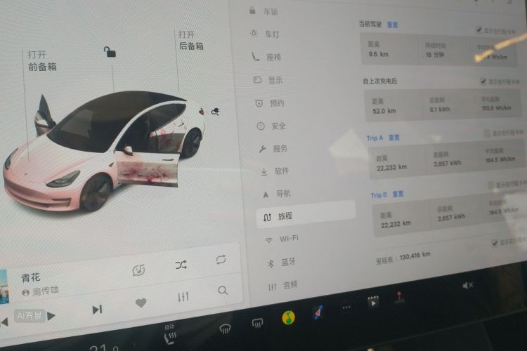 Tesla Model 3 2020 car image #13