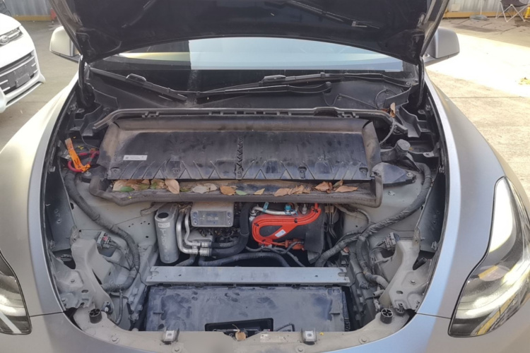 Tesla Model Y 2021 car image #20