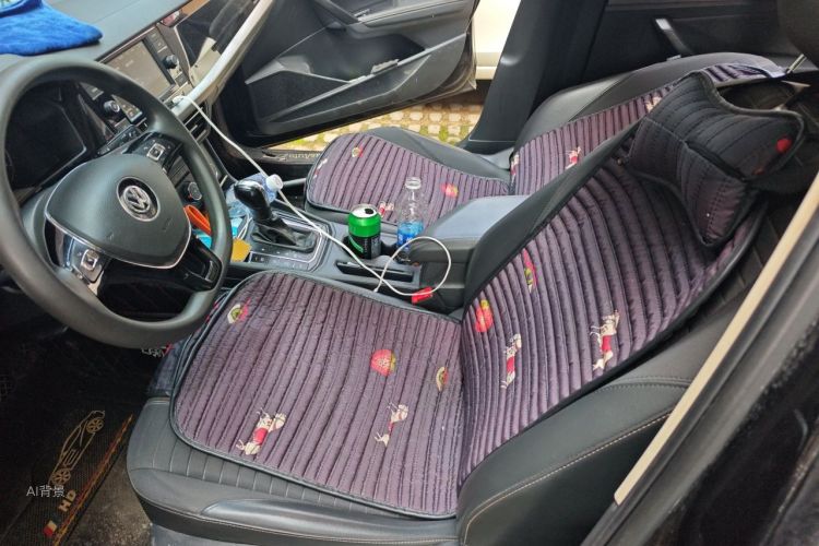 Volkswagen Lavida 2019 #17 Volkswagen Lavida 2019 car image #17