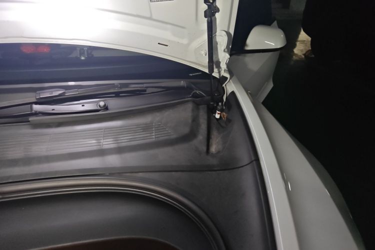 Tesla Model 3 2023 #27 Tesla Model 3 2023 immagine di auto #27
