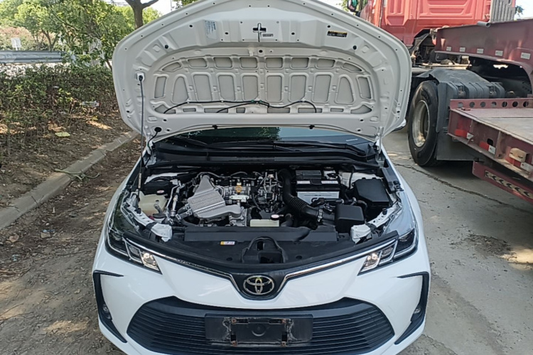 Toyota Corolla 2022 #20 Toyota Corolla 2022 car image #20