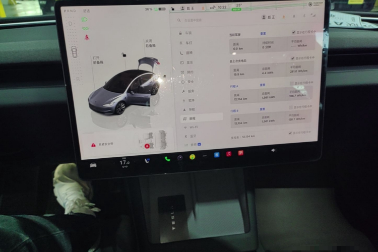 Tesla Model 3 2025 #17 Tesla Model 3 2025 car image #17