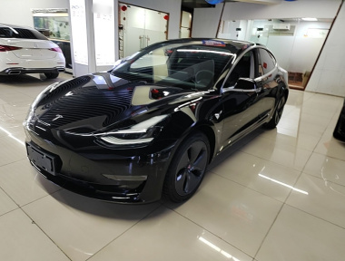 Tesla Model 3 2020 Tesla Model 3 2020 car image