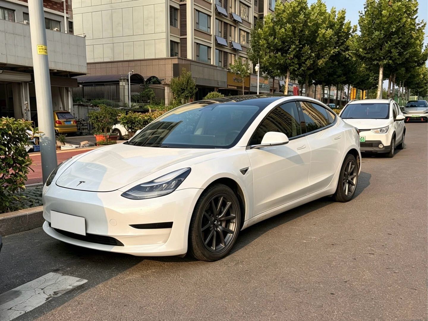 Tesla Model 3 2019 Tesla Model 3 2019 car image