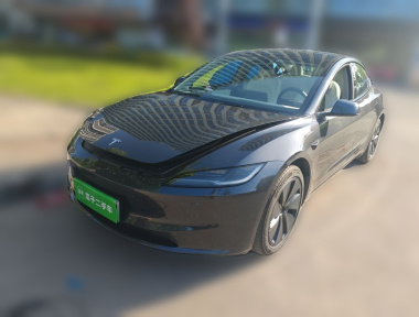 Tesla Model 3 2025 car image 