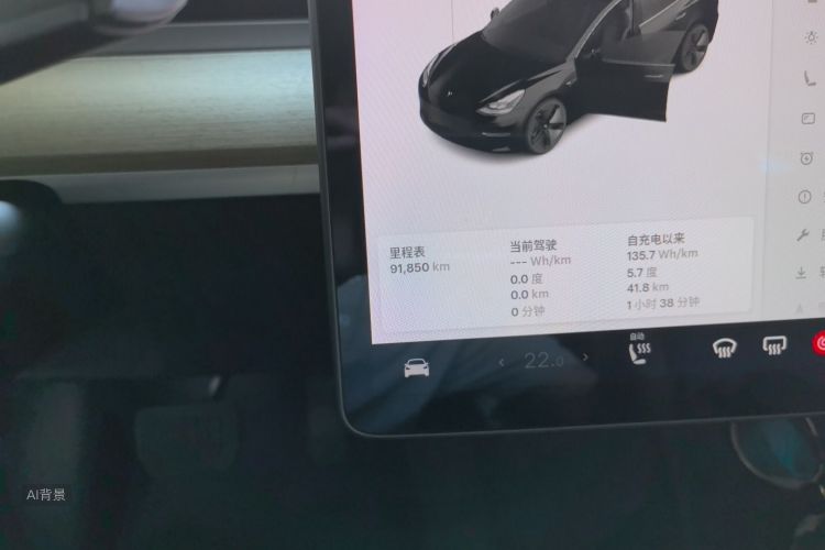 Tesla Model 3 2021 car image #14