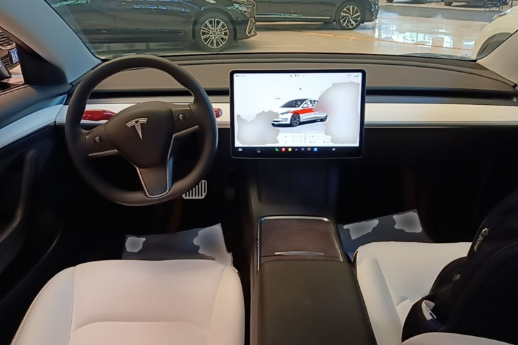 Tesla Model 3 2022 car image #10