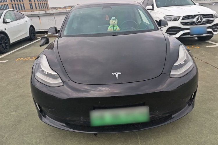 Tesla Model 3 2020 #3 Tesla Model 3 2020 car image #3