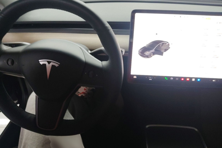 Tesla Model 3 2021 #10 Tesla Model 3 2021 immagine di auto #10