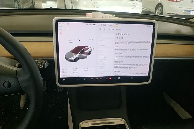 Tesla Model 3 2021 car image #13