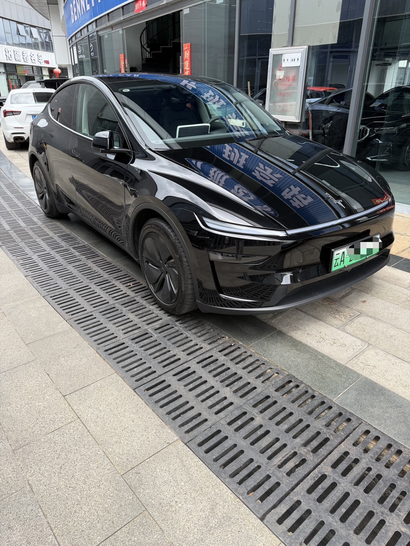 Tesla Model Y 2025 car image #3