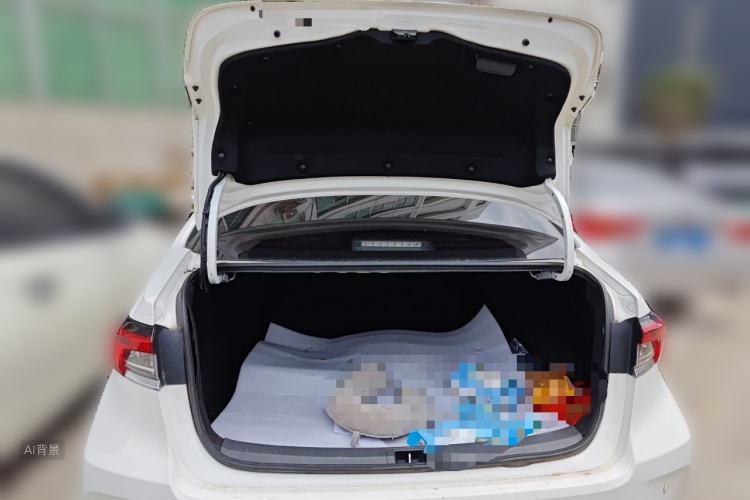 Toyota Corolla 2020 car image #21