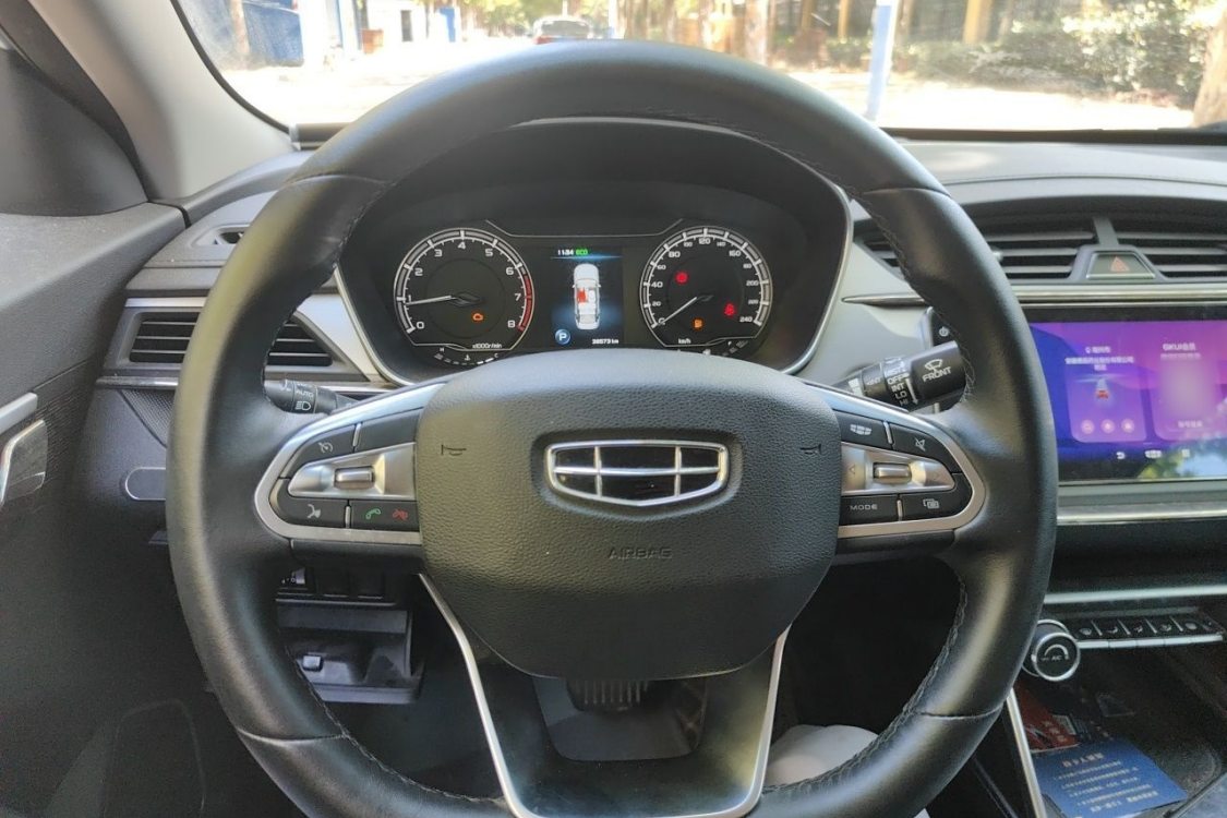 GEELY Binray 2020 #22 GEELY Binray 2020 immagine di auto #22