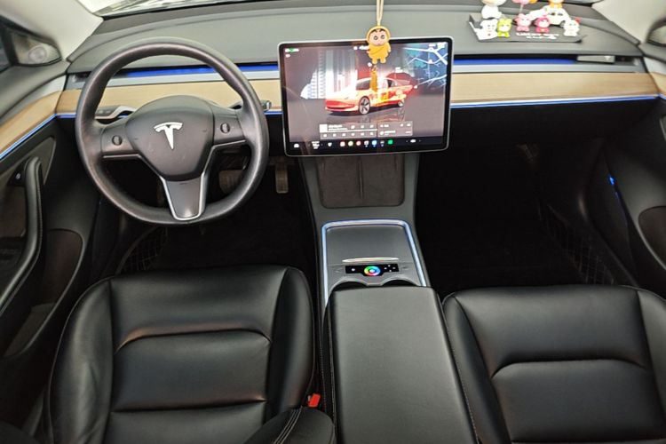Tesla Model 3 2022 #10 Tesla Model 3 2022 car image #10