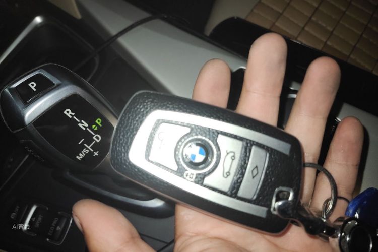 BMW 3 Series 2016 car image #10