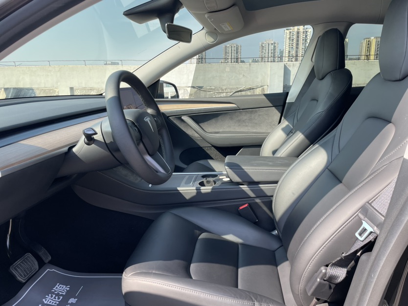 Tesla Model Y 2021 car image #8