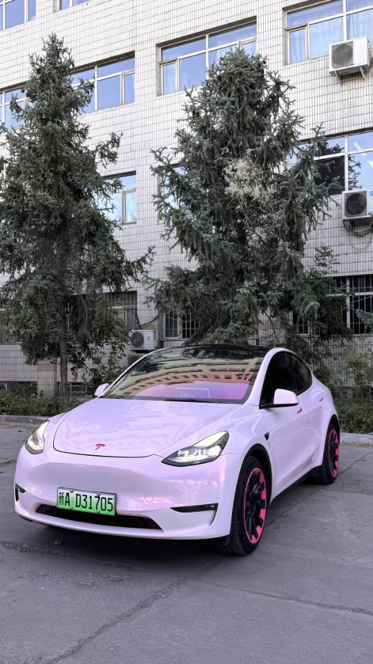 Tesla Model Y 2021 Tesla Model Y 2021 car image
