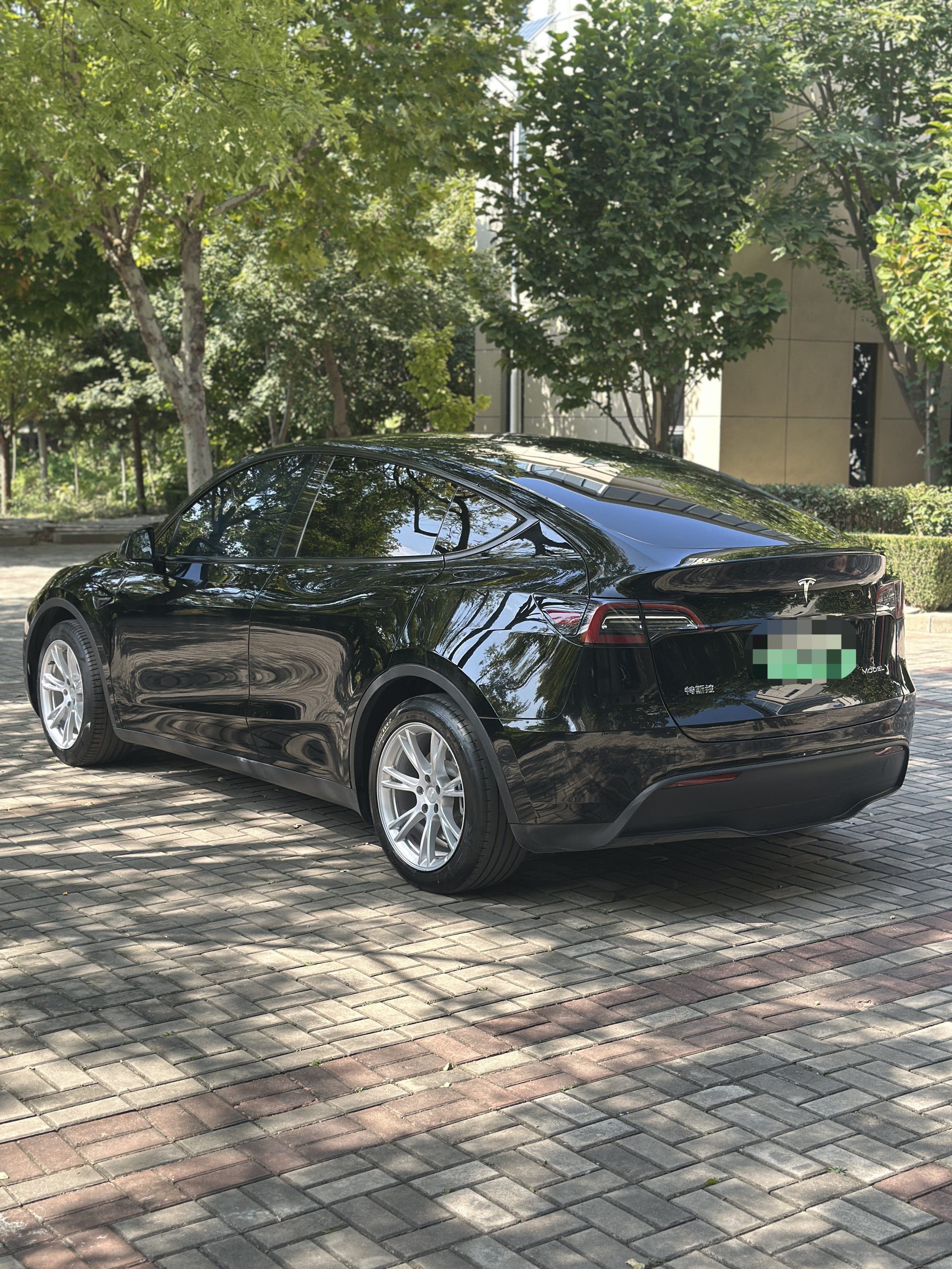 Tesla Model Y 2023 #6 Tesla Model Y 2023 car image #6