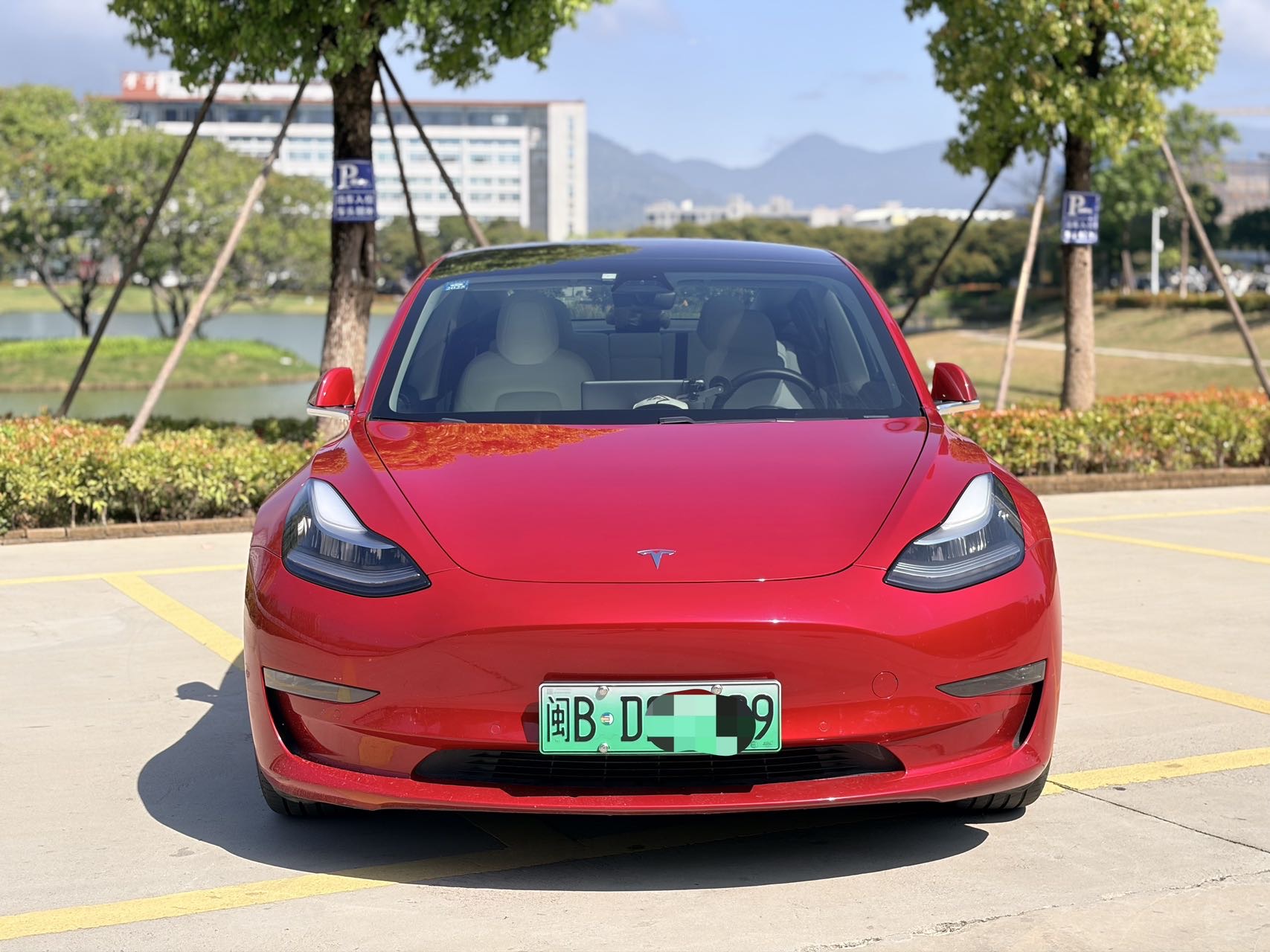 特斯拉 Model 3(进口) 2019 汽车图片 #2