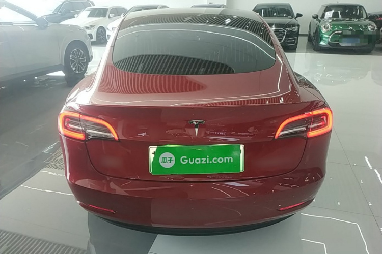 Tesla Model 3 2020 car image #4