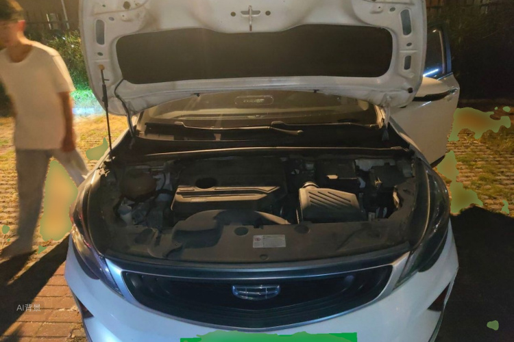 GEELY Emgrand GS 2020 car image #22