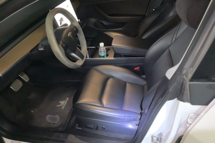 Tesla Model 3 2020 imagem de carro #15